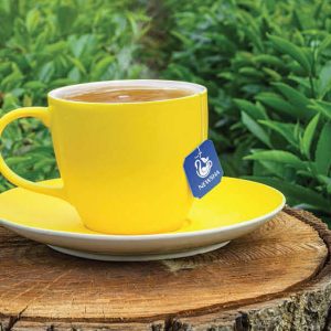 سلام تی - دمنوش لاغری نیوشا